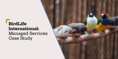 BirdLife International – Managed Services Case Study